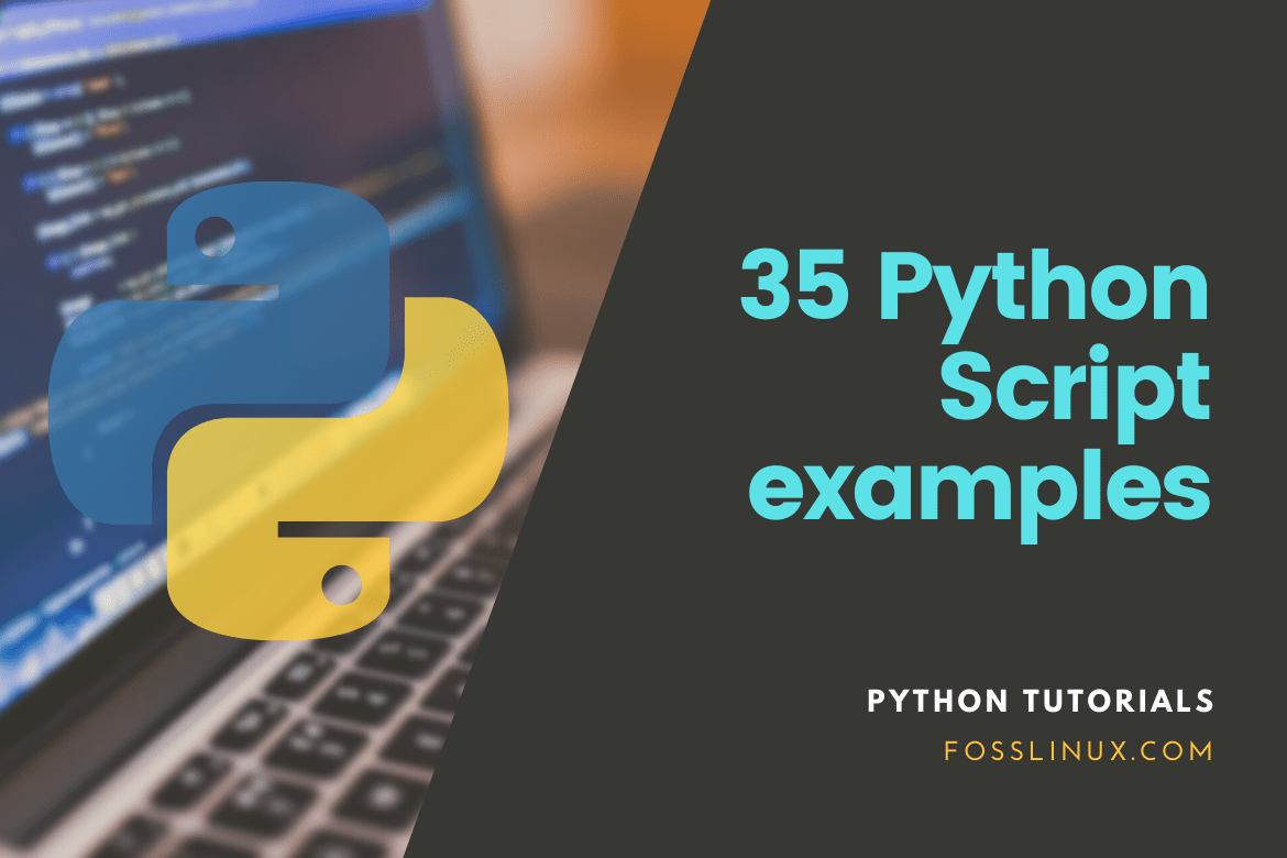 python script editor macvim